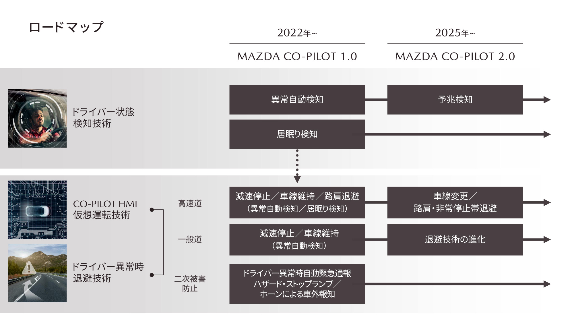 co-pilot_roadmap