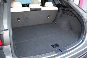 lexusRX_luggage